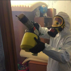 Уничтожение клопов в квартире. Приозерск