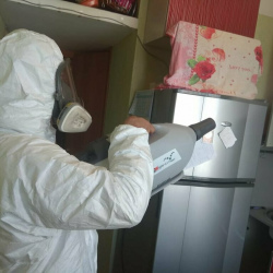 Уничтожение насекомых в квартире. Приозерск